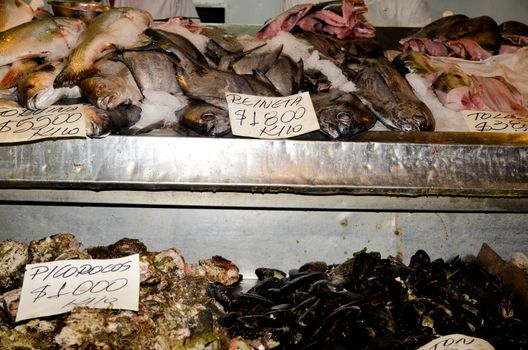 Stall of fishes and shellfishes at the central market. Santiago de Chile. Chile.