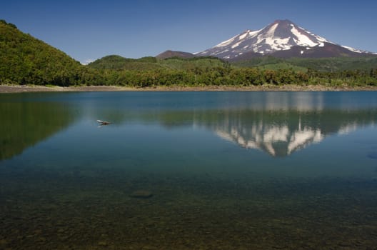 Llaima volcano reflected on the Conguillio lake. Conguillio National Park. Araucania Region. Chile.