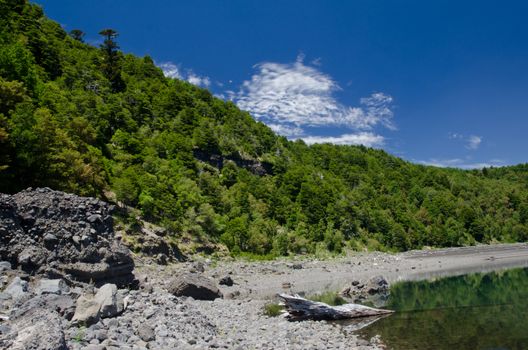 Conguillio lake in the Conguillio National Park. Araucania Region. Chile.