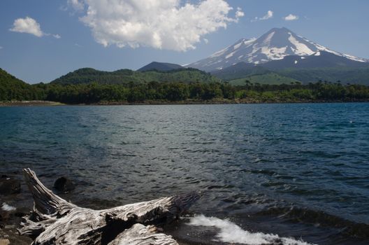 Conguillio lake and Llaima volcano. Conguillio National Park. Araucania Region. Chile.