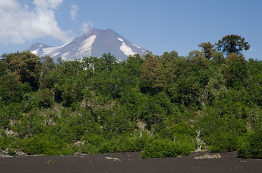 Llaima volcano and forest in the Conguillio National Park. Araucania Region. Chile.