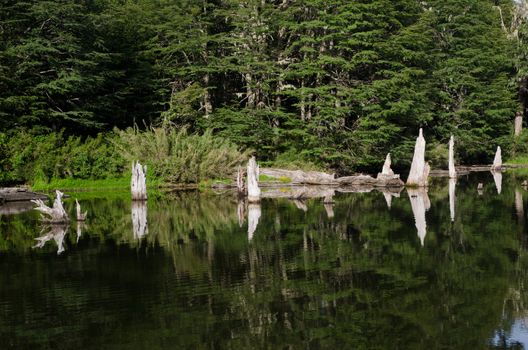 Captren lagoon in the Conguillio National Park. Araucania Region. Chile.