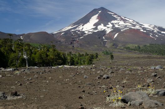 Llaima volcano in the Conguillio National Park. Araucania Region. Chile.