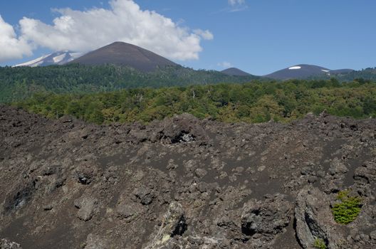 Fields of solidified lava, forest and Llaima volcano covered by clouds. Conguillio National Park. Araucania Region. Chile.