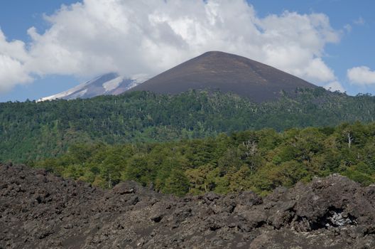 Fields of solidified lava, forest and Llaima volcano covered by clouds. Conguillio National Park. Araucania Region. Chile.