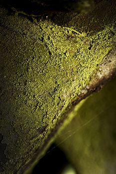 Rusty old metal machine covered with moss. Abstract photo with copy space