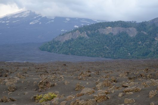 Field of solidified lava and Llaima volcano covered by clouds in the background. Conguillio National Park. Araucania Region. Chile.