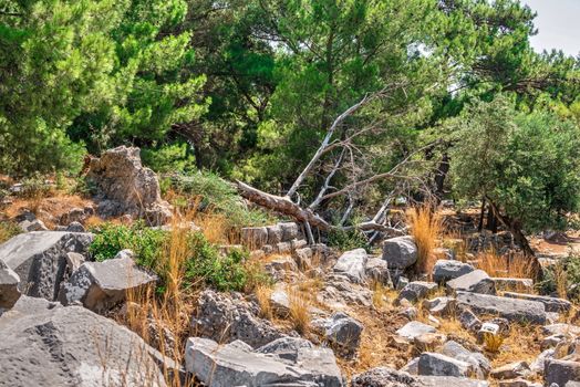 Ruins of the Ancient Theatre in the greek city of Priene in Turkey on a sunny summer day