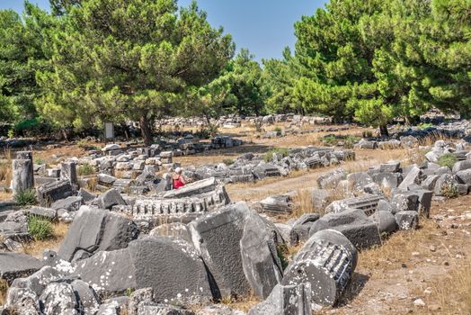 Ruins of the Ancient Theatre in the greek city of Priene in Turkey on a sunny summer day