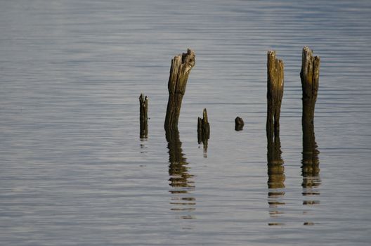 Wooden poles in Puerto Natales. Ultima Esperanza Inlet. Ultima Esperanza Province. Magallanes and Chilean Antarctic Region. Chile.