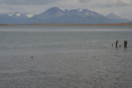 Ultima Esperanza Inlet and Sarmiento Mountain Range in the background from Puerto Natales. Ultima Esperanza Province. Magallanes and Chilean Antarctic Region. Chile.