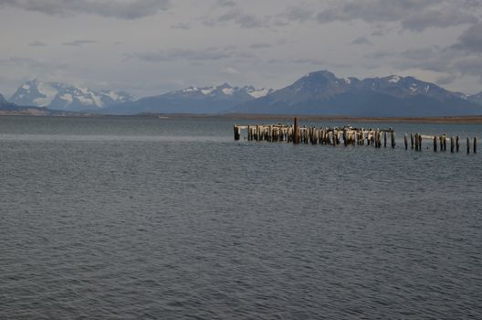 Stumps of a old jetty in the Ultima Esperanza Inlet. Puerto Natales. Ultima Esperanza Province. Magallanes and Chilean Antarctic Region. Chile.