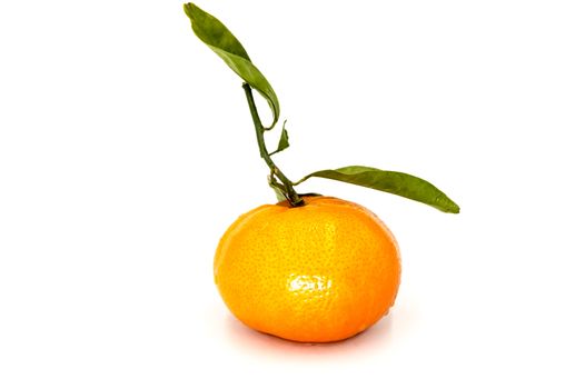 Ripe tangerine with leaves close-up on white background. Tangerine orange with leaves on white background.