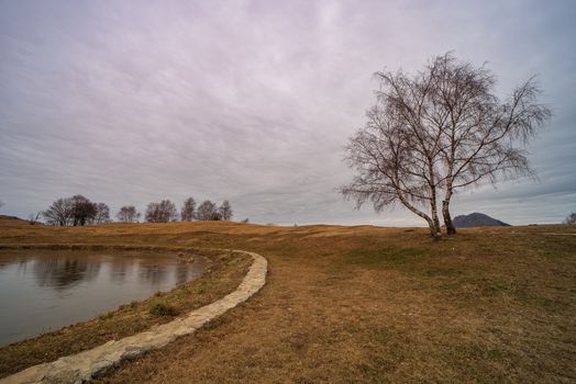 Mountain landscape with cloudy sky with tree next to a pond