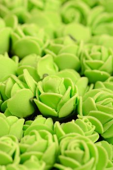 light green rose background, close up shot, valentine day concept.