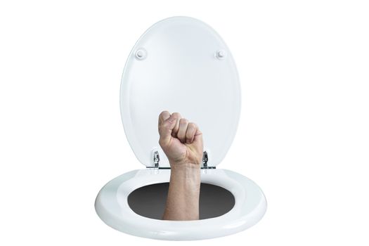 a hand with a clenched fist coming out of the toilet