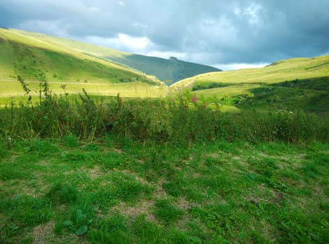 a grassland in UK