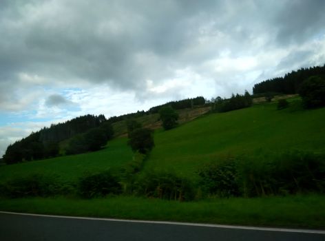 the wayside greenery in Scotland