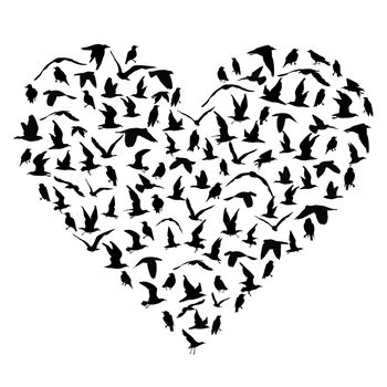 I love birds concept with silhouettes of birds in heart shape