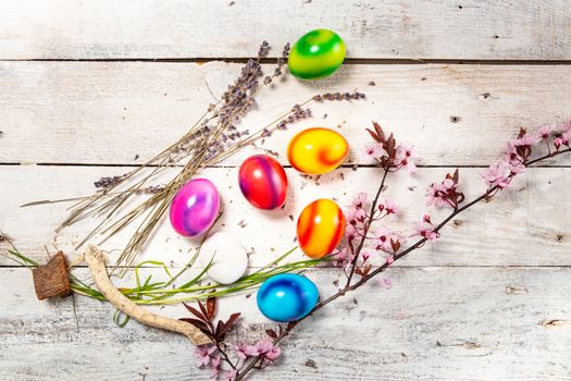 colored easter egg on wood background with copy space