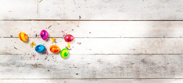 colored easter egg on wood background with copy space