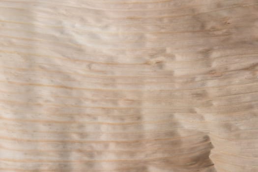close up dry banana leaf texture for background