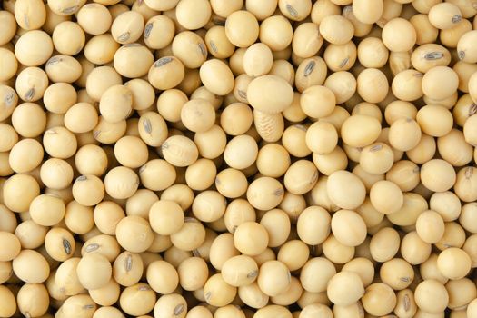 Soybean pattern as for background
