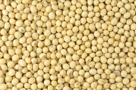 Soybean pattern as for background
