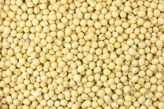 Soybean pattern as for background
