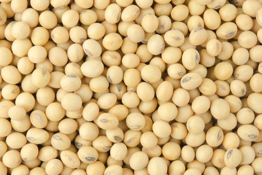 Soybean pattern as for background
