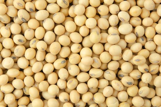 Soybean pattern as for background
