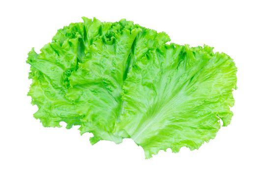 Salad leaf. Lettuce isolated on white background with clipping path