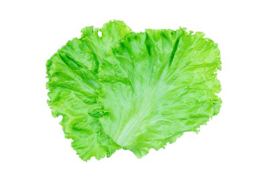 Salad leaf. Lettuce isolated on white background with clipping path