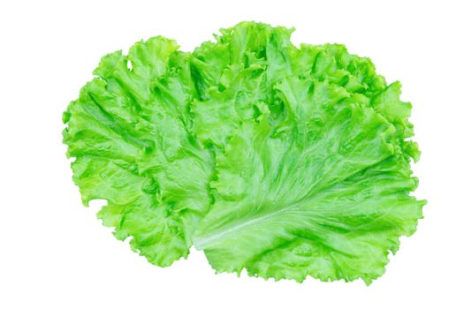 Salad leaf. Lettuce isolated on white background with clipping path