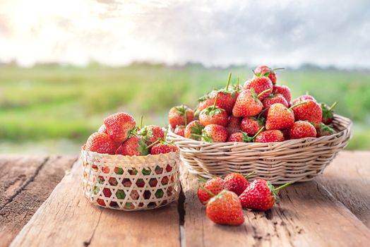 fresh ripe strawberries in basket over wooden floor with green field background