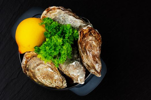 Raw oysters on plate with  lemon and parsley