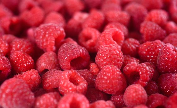 Fresh raspberries background closeup. Ripe Delicious berries. Healthy food organic concept.  