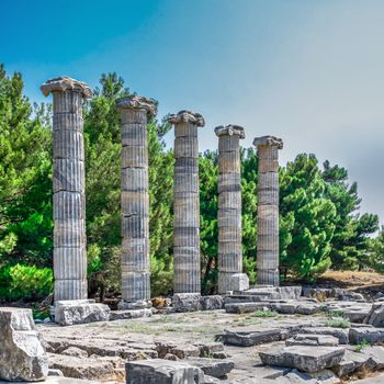 Ruins of the Temple of Athena Polias in the ancient city of Priene, Turkey, on a sunny summer day. Big panoramic shot.