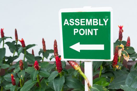 Assembly point in green color signpost in the garden nature background. Emergency assembly point sign board