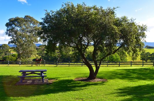 A rest area with a park bench and horse