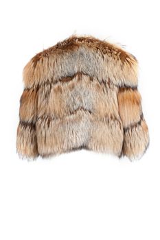 Expensive fur coats collection on a mannequin on white background