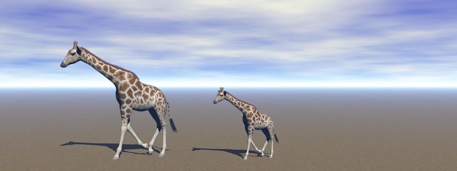 giraffe mom and her little baby and sky - 3d rendering