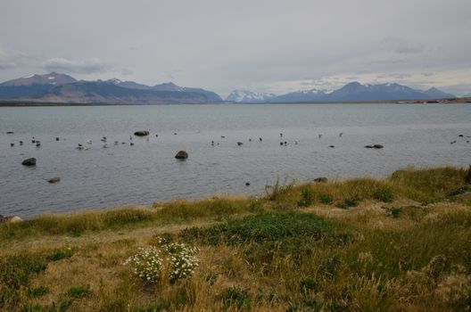 Ultima Esperanza Inlet from Puerto Natales. Ultima Esperanza Province. Magallanes and Chilean Antarctic Region. Chile.