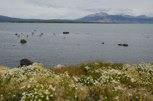 Ultima Esperanza Inlet from Puerto Natales. Ultima Esperanza Province. Magallanes and Chilean Antarctic Region. Chile.