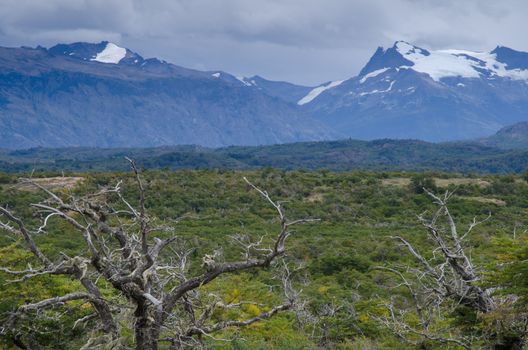Scrubland and mountains in the Chilean Patagonia. Ultima Esperanza Province. Magallanes and Chilean Antarctic Region. Chile.