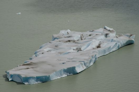 Fragment of ice floating in Grey lake. Torres del Paine National Park. Ultima Esperanza Province. Magallanes and Chilean Antarctic Region. Chilean Patagonia. Chile.