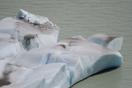 Fragment of ice floating in Grey lake. Torres del Paine National Park. Ultima Esperanza Province. Magallanes and Chilean Antarctic Region. Chilean Patagonia. Chile.