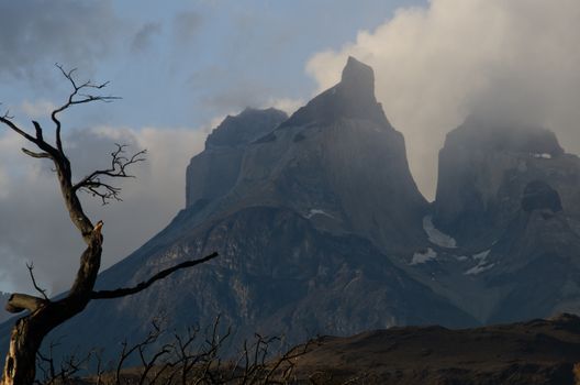 Paine Horns in the Torres del Paine National Park. Ultima Esperanza Province. Magallanes and Chilean Antarctic Region. Chile.