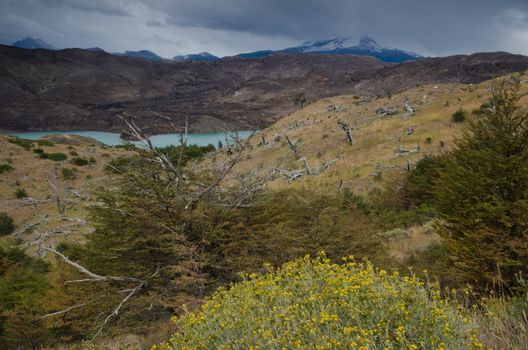 Landscape in the Torres del Paine National Park with land burned in the background by the great fire in 2011-2012. Ultima Esperanza Province. Magallanes and Chilean Antarctic Region. Chile.