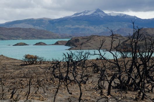 Pehoe lake and burned area in the Torres del Paine National Park by the great fire in 2011-2012. Ultima Esperanza Province. Magallanes and Chilean Antarctic Region. Chile.